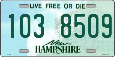 NH license plate 1038509