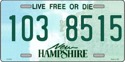 NH license plate 1038515