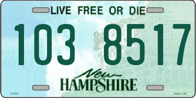 NH license plate 1038517