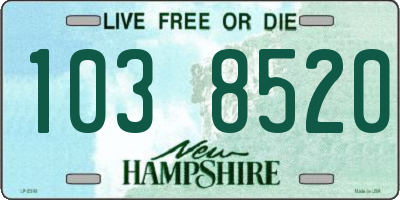 NH license plate 1038520