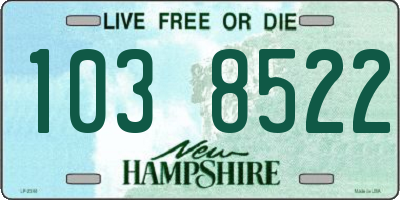 NH license plate 1038522
