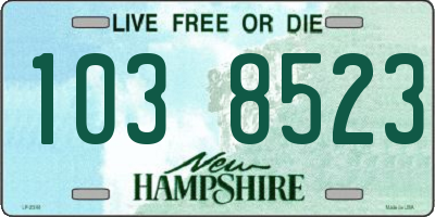 NH license plate 1038523