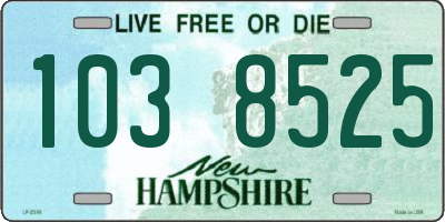 NH license plate 1038525