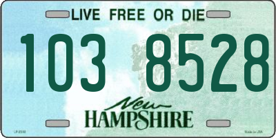 NH license plate 1038528