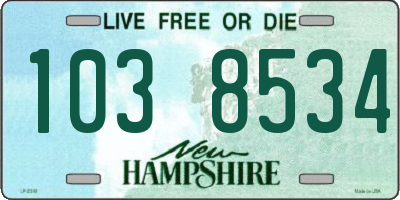 NH license plate 1038534