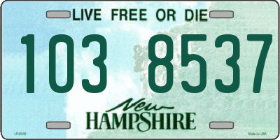 NH license plate 1038537