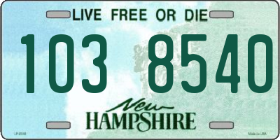 NH license plate 1038540