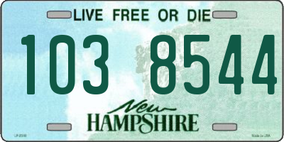 NH license plate 1038544