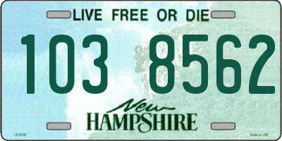 NH license plate 1038562
