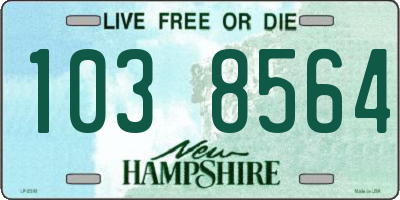 NH license plate 1038564