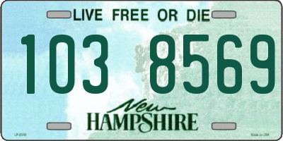 NH license plate 1038569
