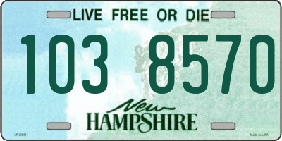 NH license plate 1038570