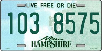 NH license plate 1038575