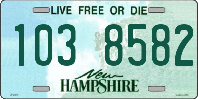 NH license plate 1038582