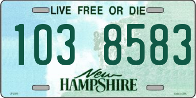 NH license plate 1038583
