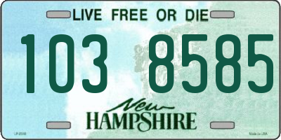 NH license plate 1038585