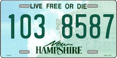 NH license plate 1038587