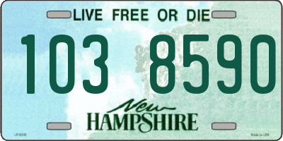 NH license plate 1038590