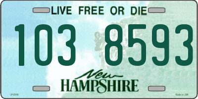NH license plate 1038593