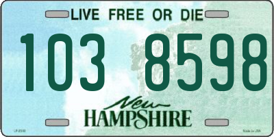 NH license plate 1038598