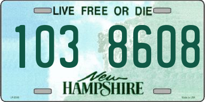NH license plate 1038608