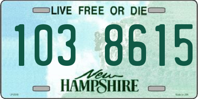NH license plate 1038615
