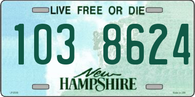 NH license plate 1038624
