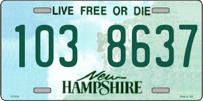 NH license plate 1038637