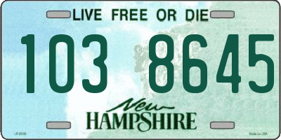 NH license plate 1038645