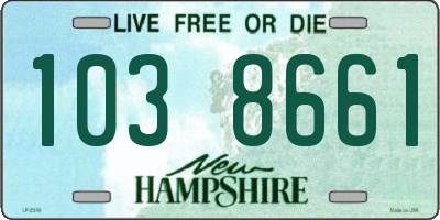 NH license plate 1038661