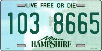 NH license plate 1038665