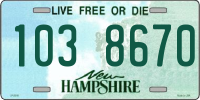 NH license plate 1038670