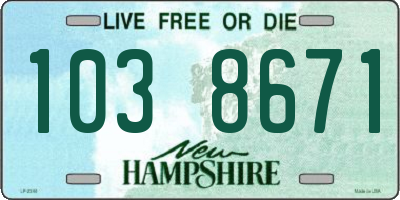 NH license plate 1038671