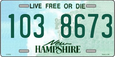 NH license plate 1038673