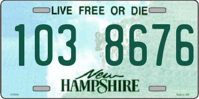 NH license plate 1038676