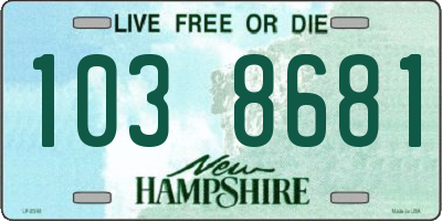 NH license plate 1038681