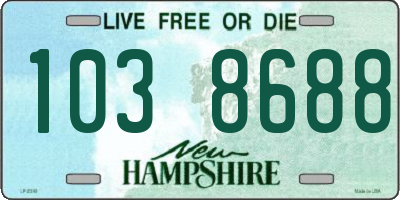 NH license plate 1038688