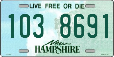 NH license plate 1038691