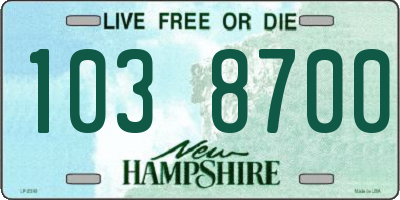 NH license plate 1038700