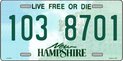 NH license plate 1038701