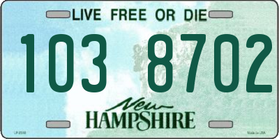 NH license plate 1038702