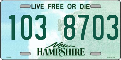 NH license plate 1038703