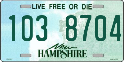 NH license plate 1038704