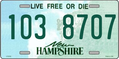 NH license plate 1038707