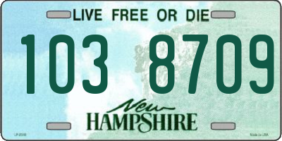 NH license plate 1038709