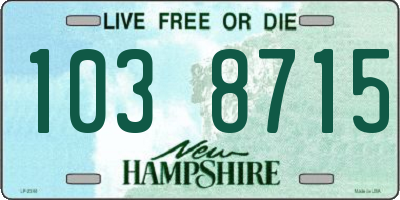 NH license plate 1038715