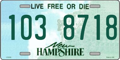 NH license plate 1038718