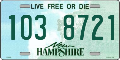 NH license plate 1038721