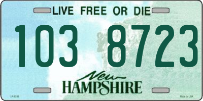 NH license plate 1038723