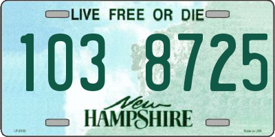 NH license plate 1038725